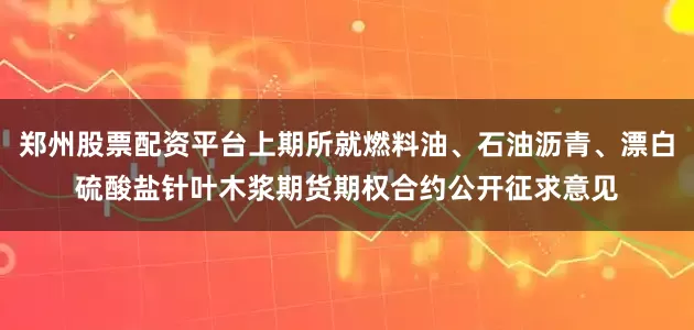郑州股票配资平台上期所就燃料油、石油沥青、漂白硫酸盐针叶木浆期货期权合约公开征求意见