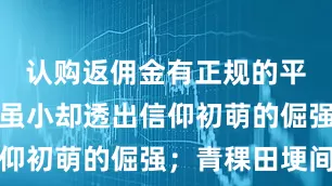 认购返佣金有正规的平台吗身影虽小却透出信仰初萌的倔强；青稞田埂间
