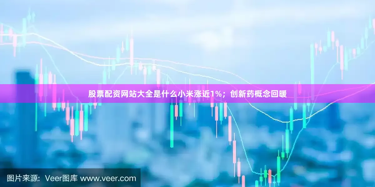 股票配资网站大全是什么小米涨近1%；创新药概念回暖